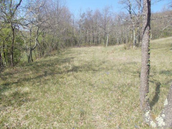2017-04-10-Loubens-Montegut21