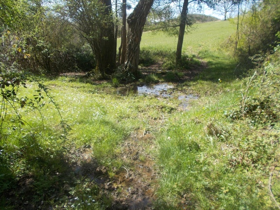 2017-04-10-Loubens-Montegut22