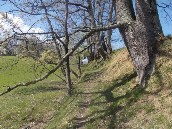 2017-04-10-Loubens-Montegut25