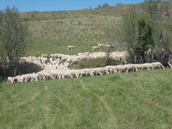 2017-04-10-Loubens-Montegut28