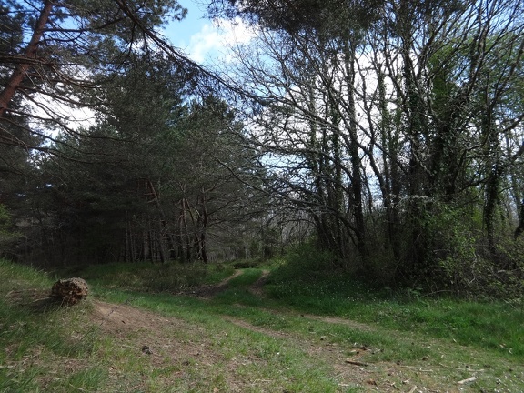 2015-05-06-Villafranca-ages14
