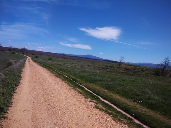 2015-05-06-Villafranca-ages40
