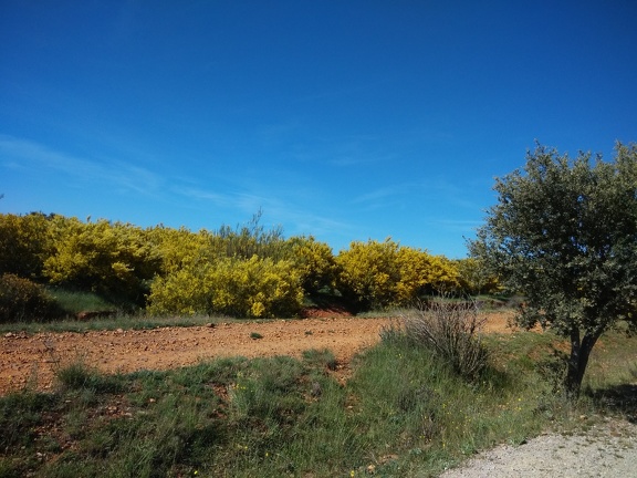 2015-05-25-Astorga-ElGanso-06