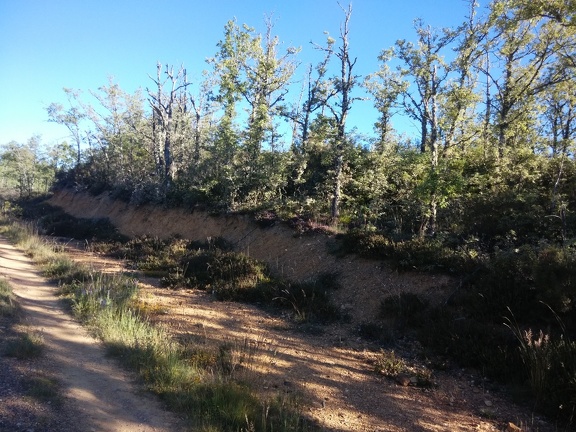 2015-05-26-ElGanso-Foncebaldon-02