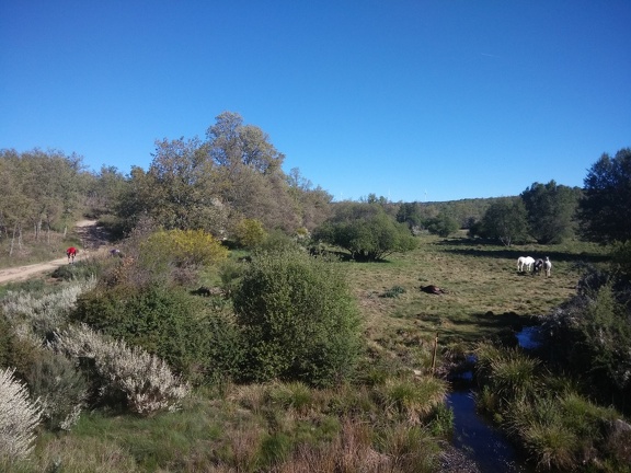 2015-05-26-ElGanso-Foncebaldon-03