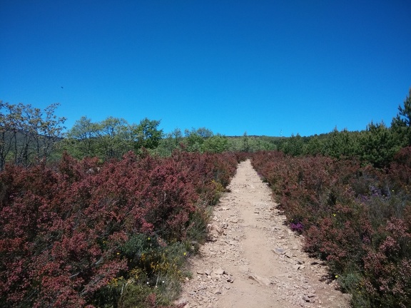 2015-05-26-ElGanso-Foncebaldon-11