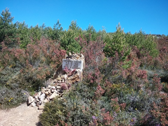 2015-05-26-ElGanso-Foncebaldon-12