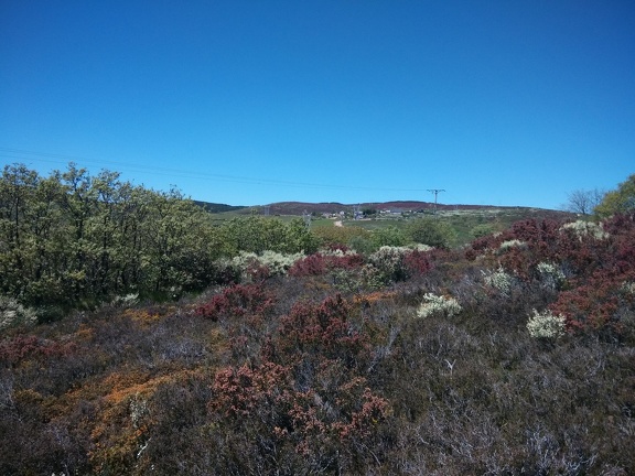 2015-05-26-ElGanso-Foncebaldon-15