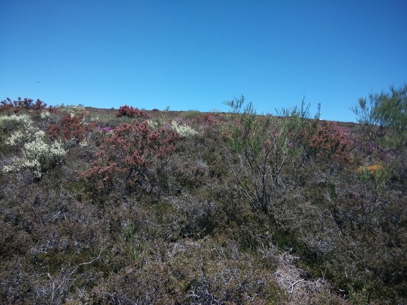2015-05-26-ElGanso-Foncebaldon-16