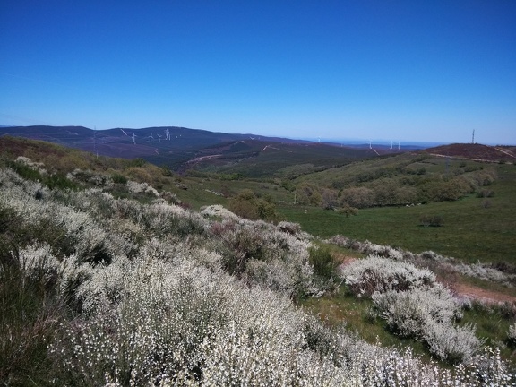 2015-05-26-ElGanso-Foncebaldon-21