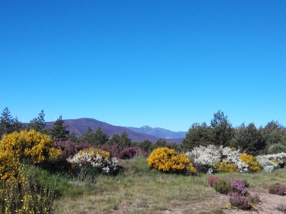 2015-05-27-Foncebadon-Acebo-08