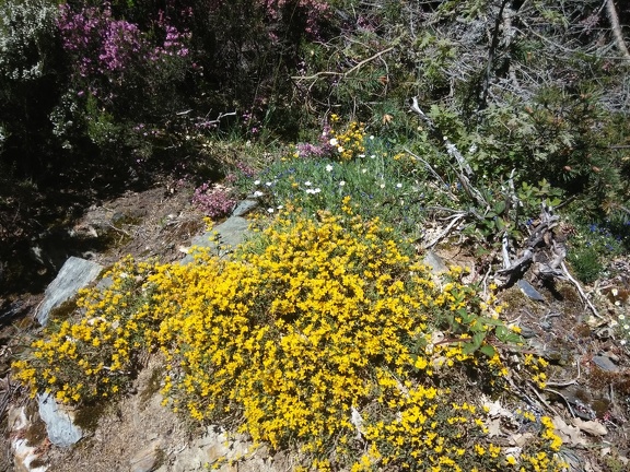 2015-05-27-Foncebadon-Acebo-18