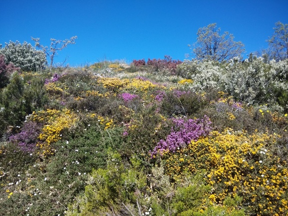 2015-05-27-Foncebadon-Acebo-19