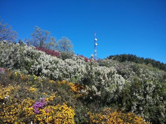 2015-05-27-Foncebadon-Acebo-20