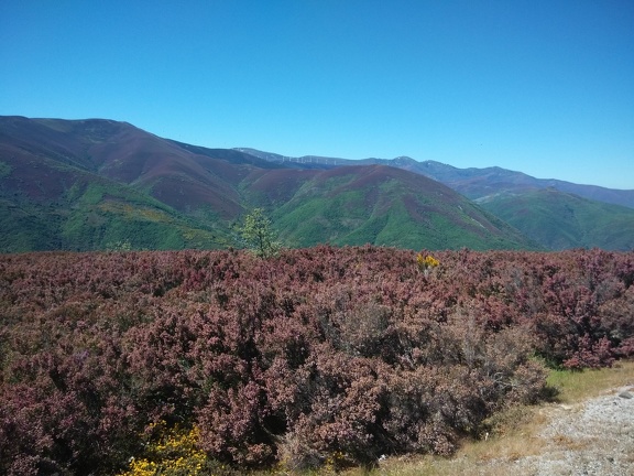 2015-05-27-Foncebadon-Acebo-22