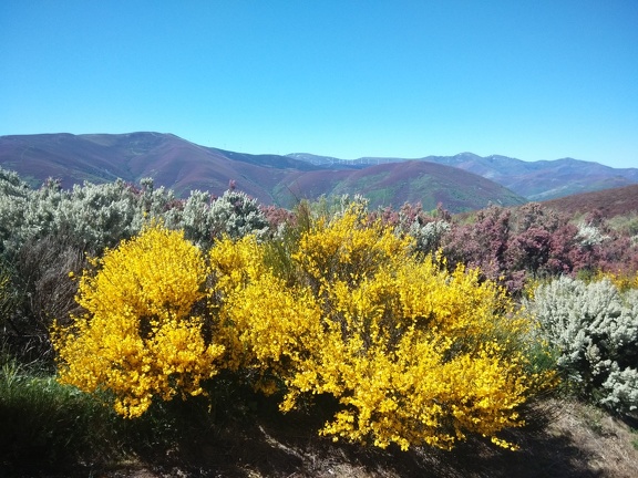 2015-05-27-Foncebadon-Acebo-24