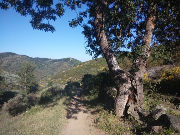 2015-05-28-Acebo-Ponferrada-03