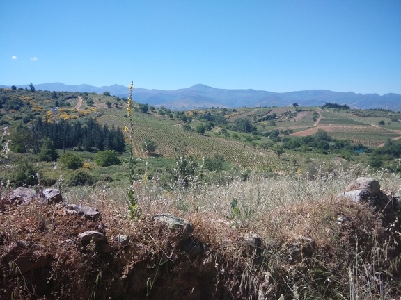 2015-05-28-Acebo-Ponferrada-15