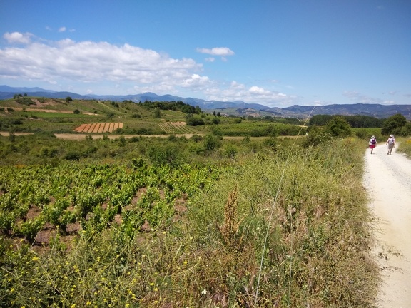2015-05-30-Ponferrada-Cacabelos-05