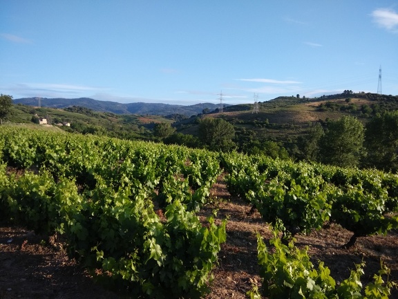 2015-05-31-Cacabelos-Trabadelo-03