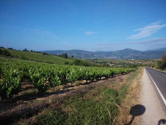 2015-05-31-Cacabelos-Trabadelo-04