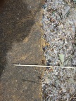 2015-05-31-Cacabelos-Trabadelo-17