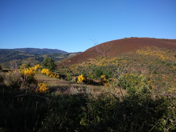 2015-06-02-Faba-OCebreiro-01