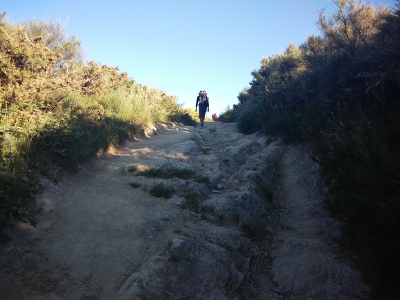 2015-06-02-Faba-OCebreiro-03