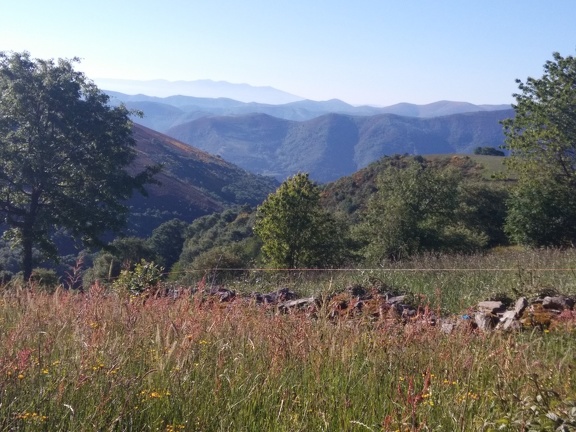 2015-06-02-Faba-OCebreiro-05