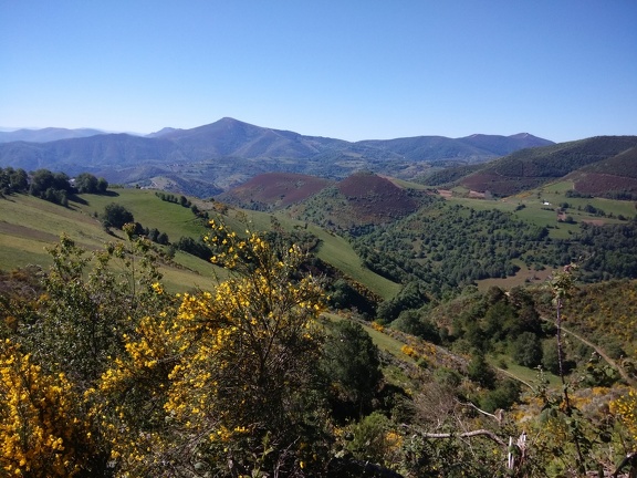 2015-06-02-Faba-OCebreiro-15