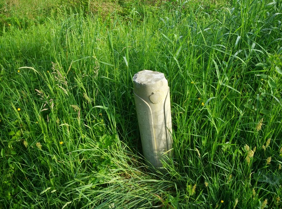 2018-05-09-Lacommande-Oloron06