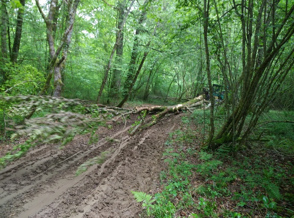 2018-05-09-Lacommande-Oloron12