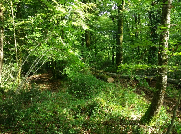 2018-05-09-Lacommande-Oloron15