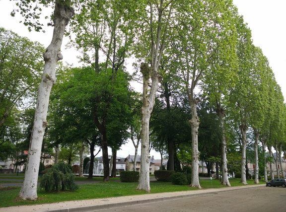 2018-05-10-Oloron-Eyzus24