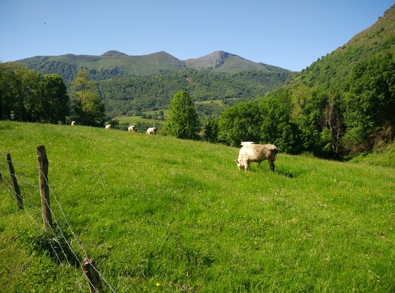 2018-05-11-Eysus-Sarrance15
