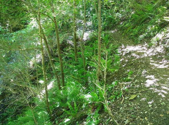 2018-05-11-Eysus-Sarrance30