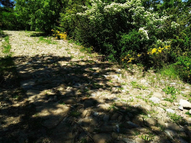 2018-05-16-Jaca-StaCelia14.jpg