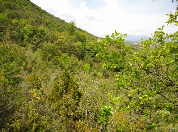 2018-05-17-StaCelia-Arres24