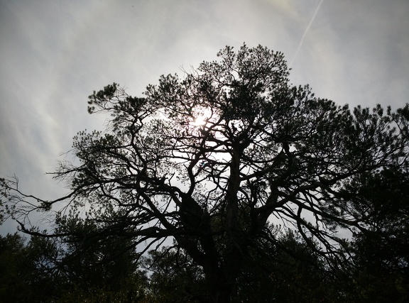2018-05-17-StaCelia-Arres26