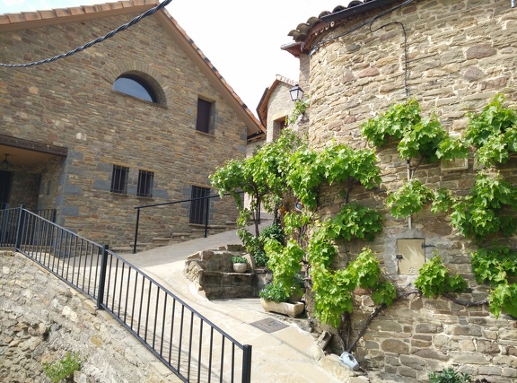 2018-05-17-StaCelia-Arres42