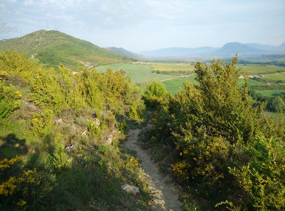 2018-05-18-Arres-Artieda10