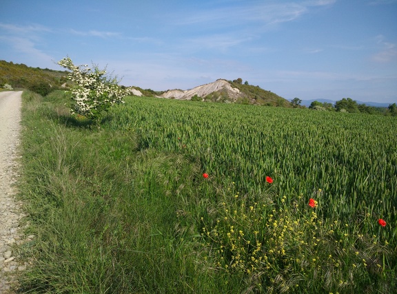 2018-05-18-Arres-Artieda17