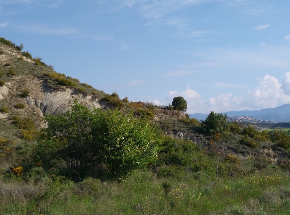 2018-05-18-Arres-Artieda23