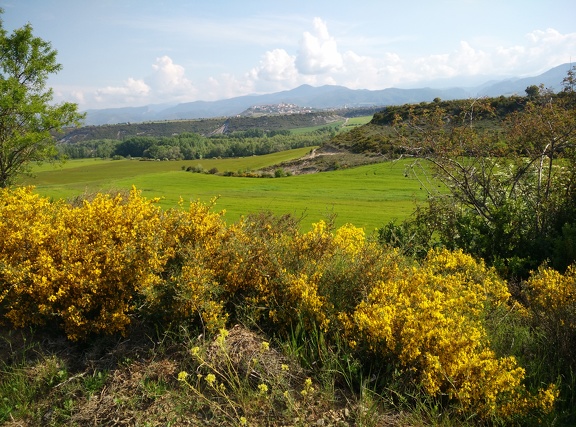 2018-05-18-Arres-Artieda26