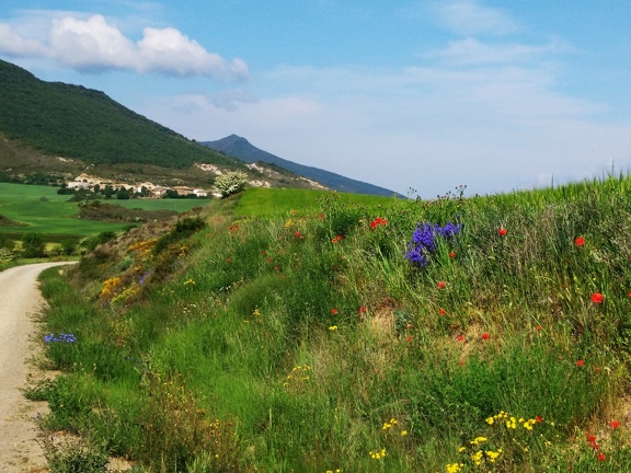 2018-05-18-Arres-Artieda32