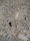 2018-05-18-Arres-Artieda33