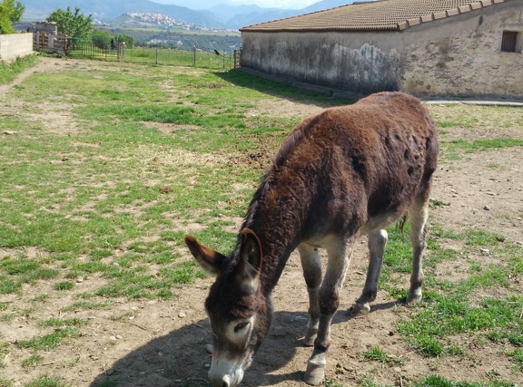 2018-05-18-Arres-Artieda34