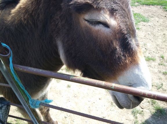 2018-05-18-Arres-Artieda38