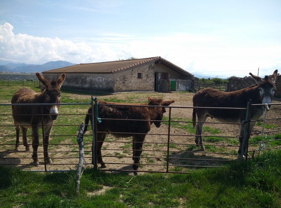 2018-05-18-Arres-Artieda42