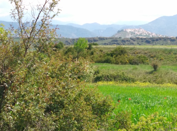 2018-05-18-Arres-Artieda47